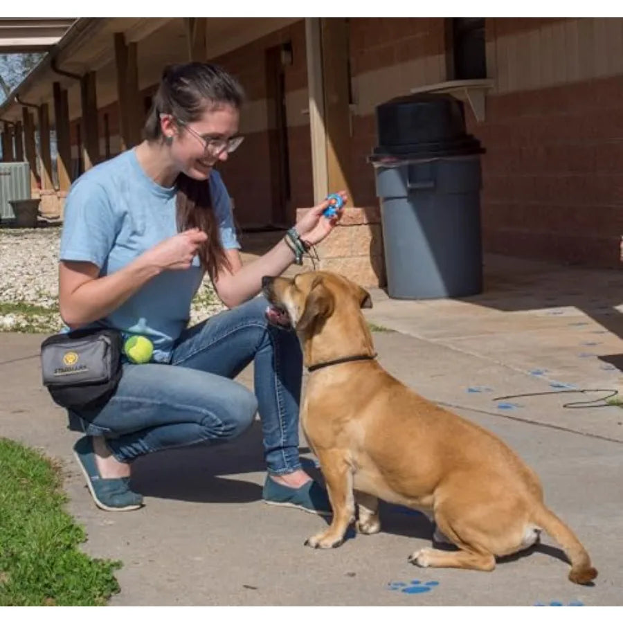 Pro-Training Clicker for Dogs