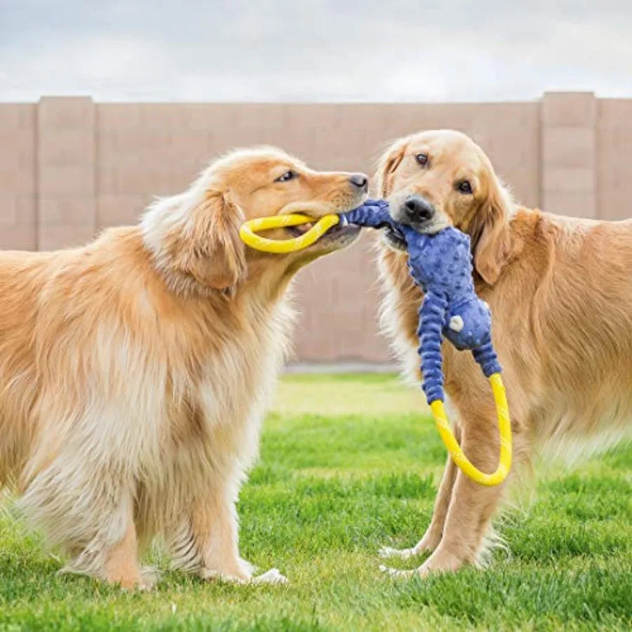 RopeTugz Durable Dog Pull Rope Toy - Blue Monkey Interactive Tug of War for Large, Medium and Small Dog, Squeaky Pet Product to