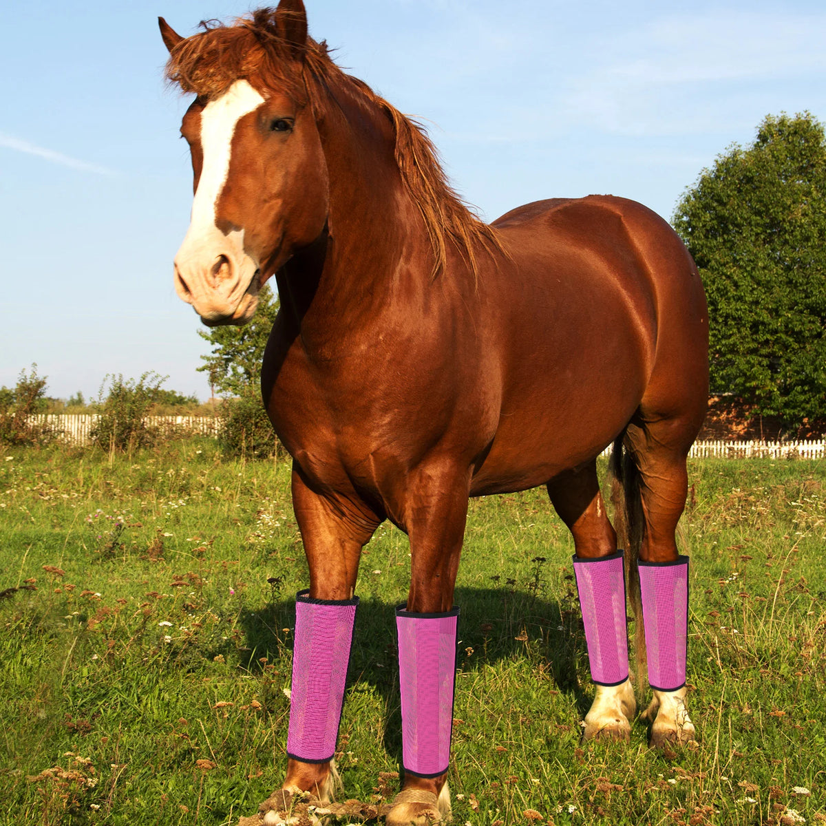 Set of 4 Horse Foot Protective Cover Protective Horse Leg Wraps Mesh Fly Boots for Horse for Preventing Flies Mosquitoes Bite