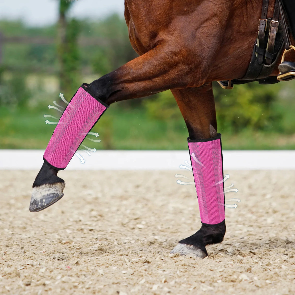 Set of 4 Horse Foot Protective Cover Protective Horse Leg Wraps Mesh Fly Boots for Horse for Preventing Flies Mosquitoes Bite