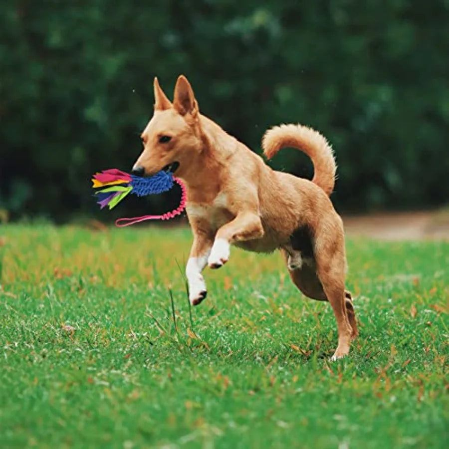 Dog Tug Toy, Dog Toys for Aggressive Chewers, Strong Squeak Rope Toy Easy to GRAP Chew Toy for Large Dogs, Puppies, Middle Dogs