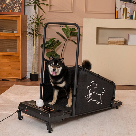 Dog Treadmill for Medium Dogs, Indoor Walking & Running Machine for Pet Exercise, Quiet Motor with Safety Rails, Fit & Healthy Workout for Dogs